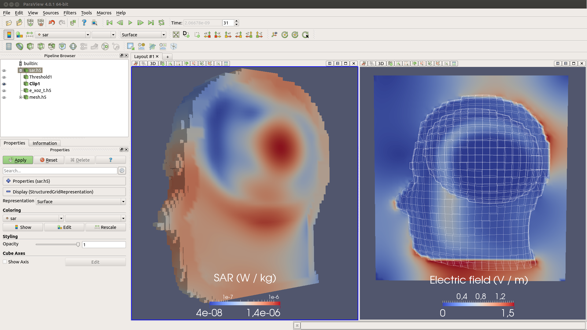 10g SAR average and Electromagnetic field into simplified human head (project HOROCH)